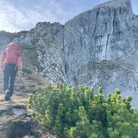 Kleiner Watzmann mit Westwand | 29.10.2022 | 10:29 Uhr