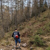 Rutschiger Abstieg zur Kührointalm | 29.10.2022 | 14:38 Uhr