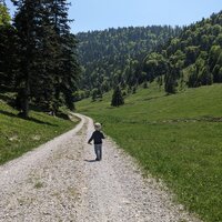 Bruno läuft ein Stück selbst | 03.06.2023 | 13:46 Uhr