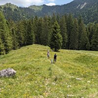 An der Schloßalm | 10.06.2023 | 12:20 Uhr