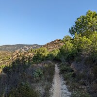 Schöner Trail | 07.09.2023 |  8:38 Uhr