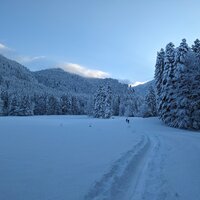 Viel Neuschnee | 03.12.2023 |  8:43 Uhr