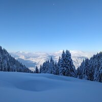 Leider anhaltend im Schatten | 03.12.2023 |  9:55 Uhr