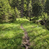 Schöner Trail | 30.05.2024 | 10:58 Uhr