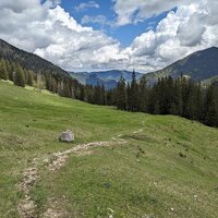 Schöner Trail im Abstieg | 30.05.2024 | 12:35 Uhr