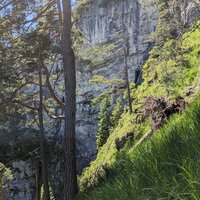 Felswände entlang des Maurersteig | 16.06.2024 | 13:42 Uhr